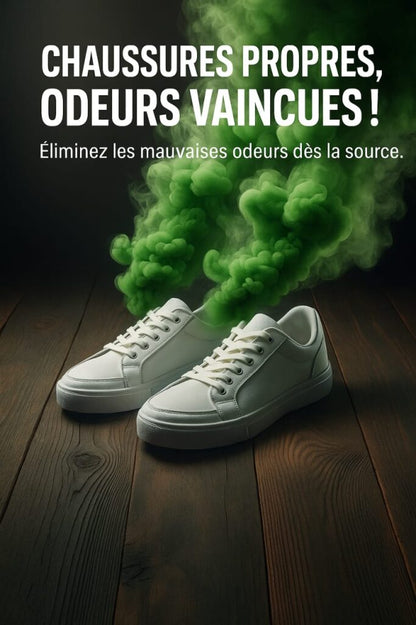 Rafraîchisseur et Désodorisant à Chaussures Avec Senteur Naturelle - Elimine les Odeurs De Chaussure, 10PCS