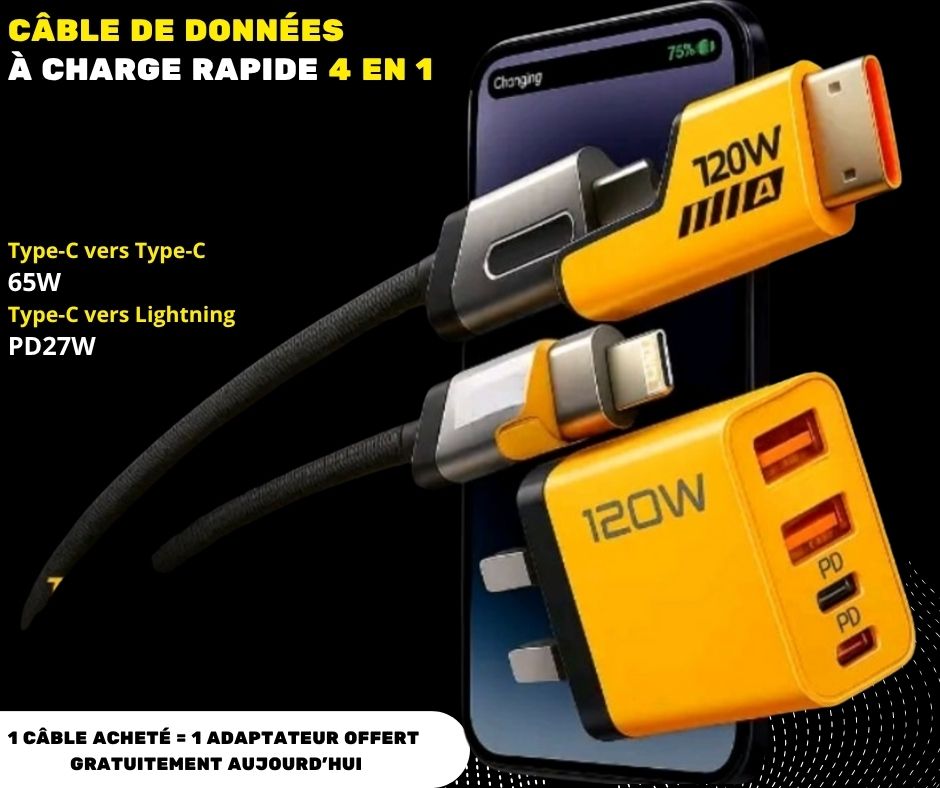 Câble de Charge Rapide 4-en-1 : La Solution de Charge pour Tous Vos Appareils