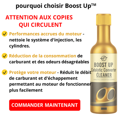 L'économiseur de Carburant Boost Up - Nettoyant pour catalyseur