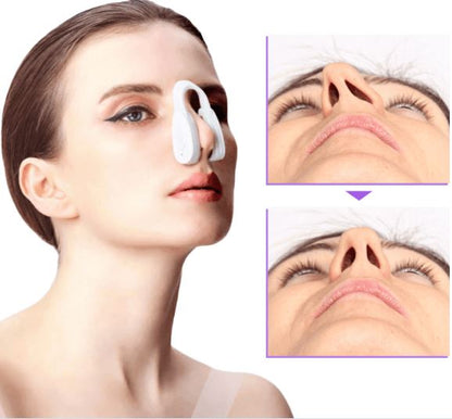 Sculpteur de Nez