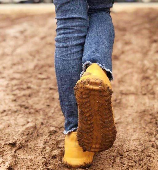 Protège chaussures en silicone