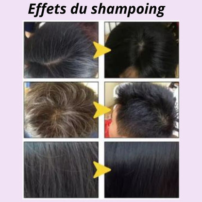 Shampooing anti-cheveux blanc revitalisant Disaar